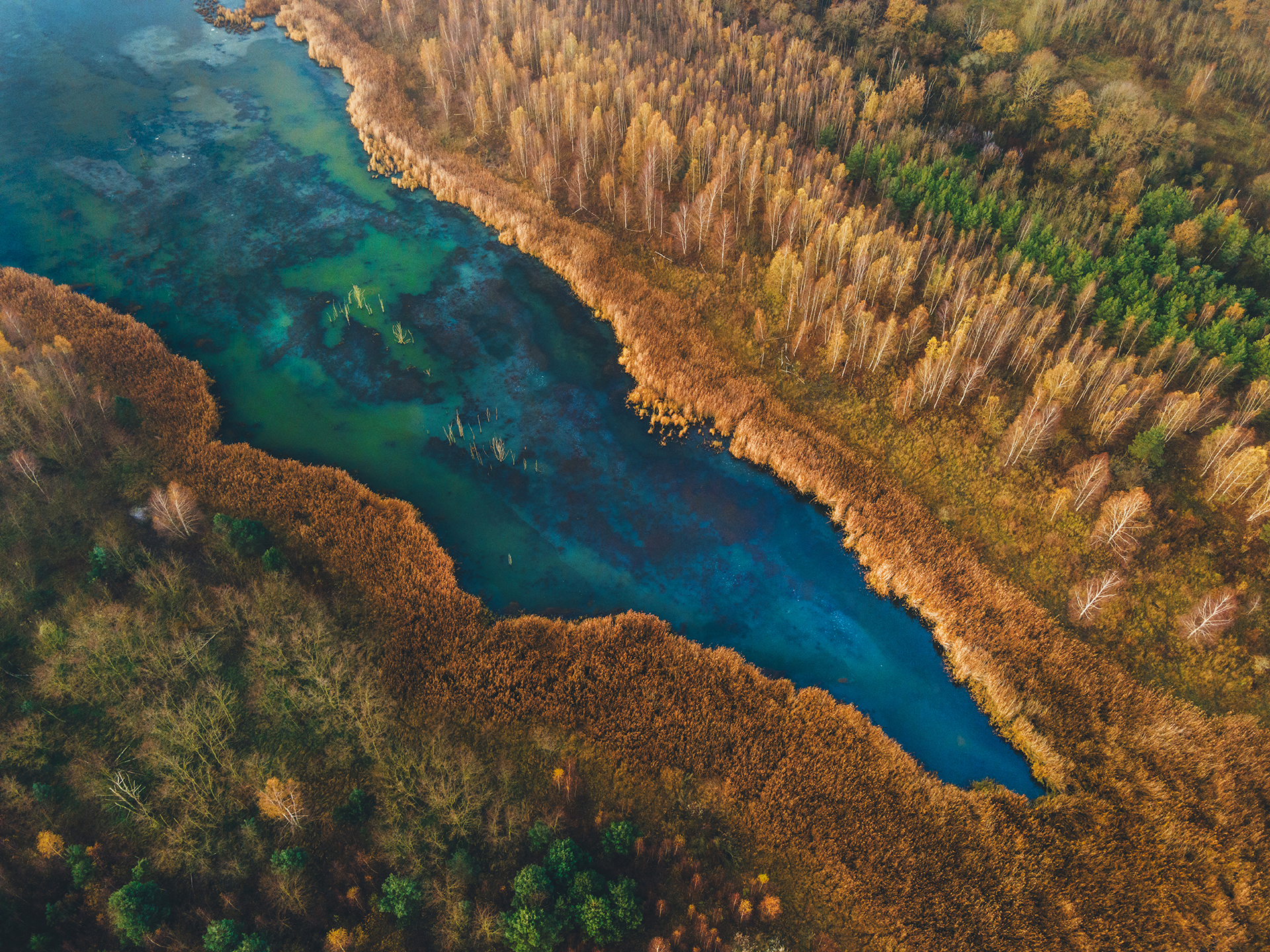 Lieberoser Heide Waldbrand